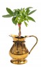 BR40984 - Brass Rope Pitcher / plant vase